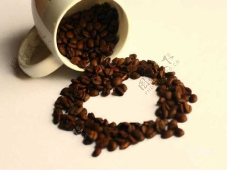 咖啡豆PPT模板