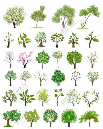 不同树种的创意设计矢量