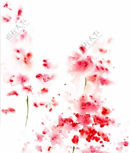 位图植物写意花卉花朵野花免费素材