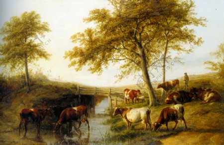 小溪边的牛群图片