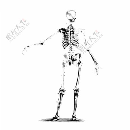 印花矢量图T恤图案人物骨骼色彩免费素材