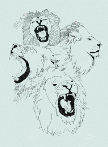 位图插画动物狮子色彩免费素材