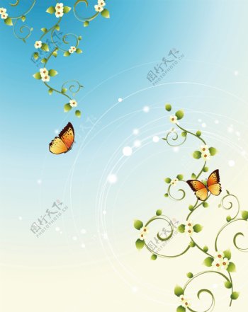 花纹图案蝴蝶