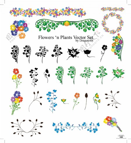 植物的色彩和花纹花边矢量素材的黑色和白色的元素