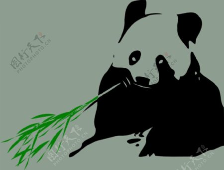 熊猫吃竹子的剪辑艺术