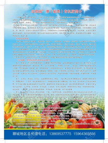 瓜果蔬菜彩页图片