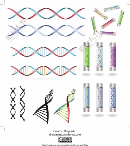 DNA线条试管