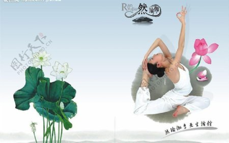 瑜伽画册封面图片