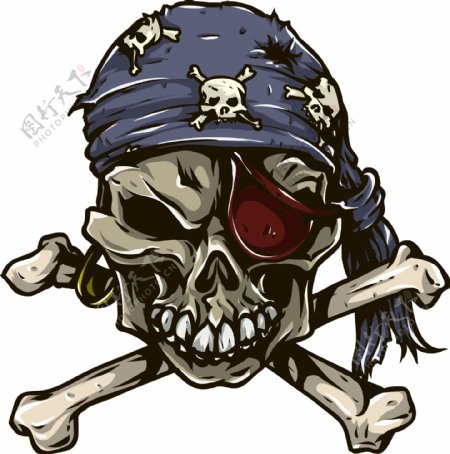 颅骨的向量元素的海盗头巾