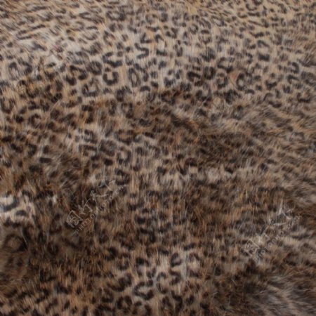 实物面料动物皮纹皮革免费素材