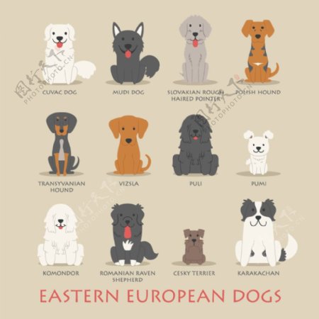 卡通东欧宠物狗设计