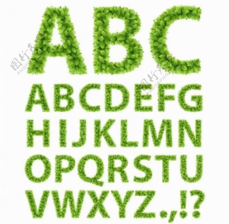 绿叶字母图片