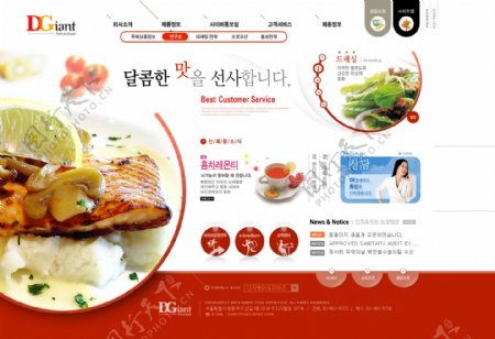 韩国牛排网站