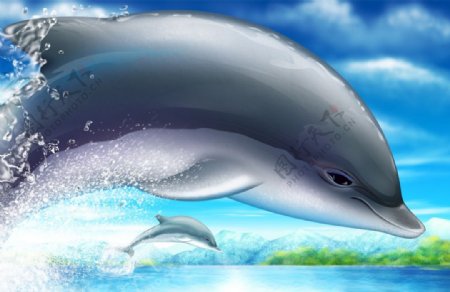 海豚公益海报背景