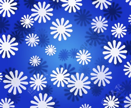 白色的花简单的蓝色纹理