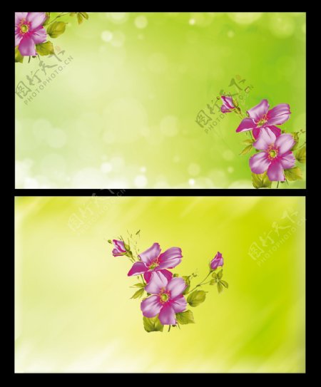 绿色清爽花朵背景设计图片