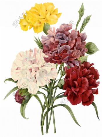 位图艺术效果手绘花卉免费素材