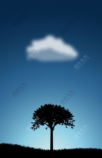 树与云