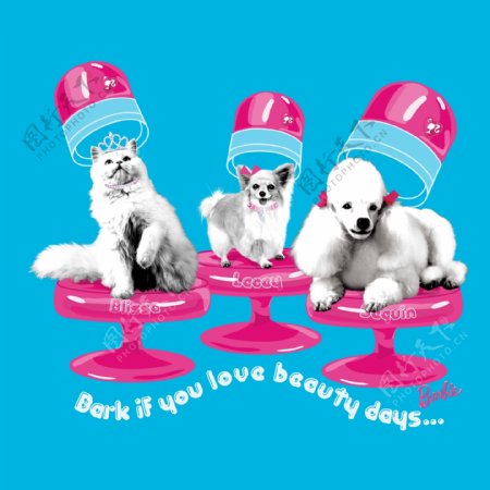 印花矢量图T恤图案动物贵宾蝴蝶犬免费素材