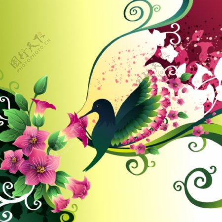 印花矢量图植物花朵蜂鸟色彩免费素材