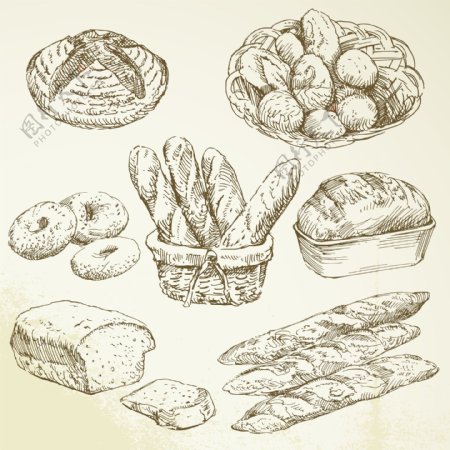手绘食物图片