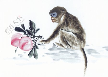 中华艺术绘画古画动物绘画猴子中国古代绘画