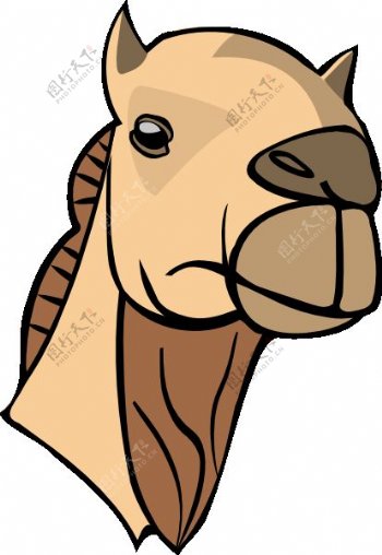 骆驼的头夹艺术2
