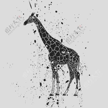 印花矢量图T恤图案野生动物长颈鹿色彩免费素材