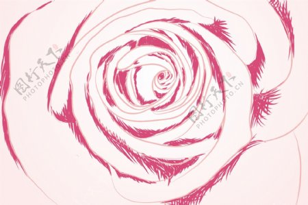 手绘玫瑰花矢量素材