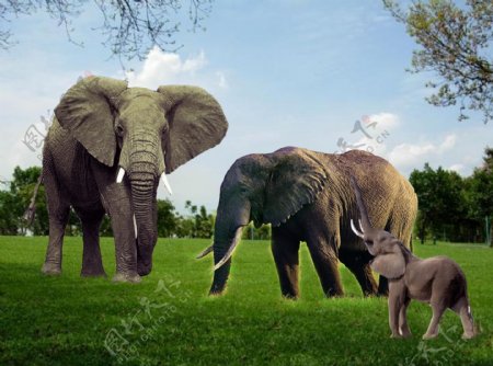 大象群雕