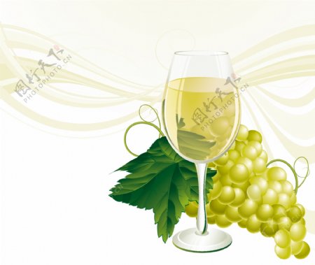 白葡萄酒和葡萄矢量玻璃