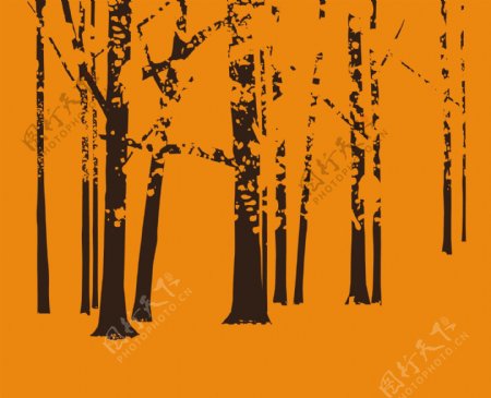 橙树林