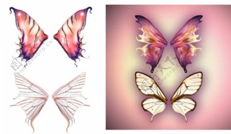四款蝴蝶的翅膀设计图片素材
