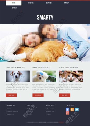 宠物销售网站CSS3模板