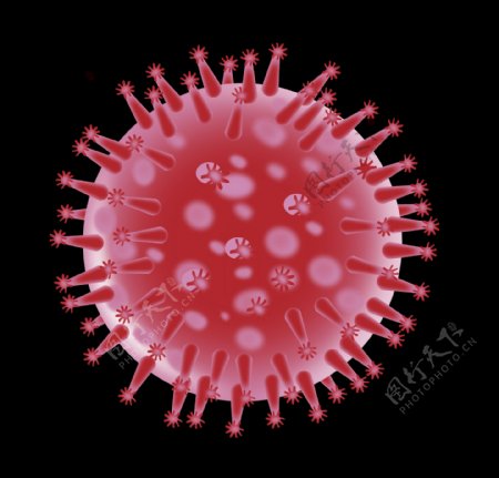 流感病毒结构