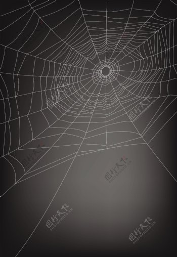 蜘蛛网的设计元素矢量图04
