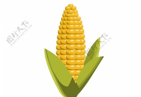 写实2D版玉米图片