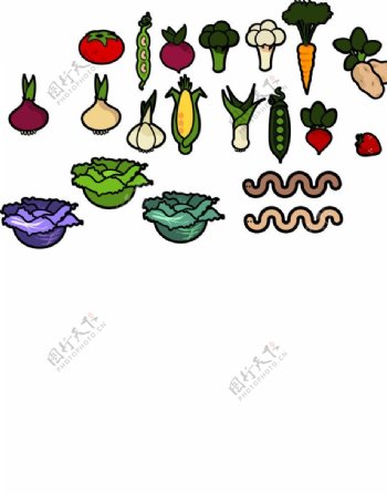 蔬菜农作物图片