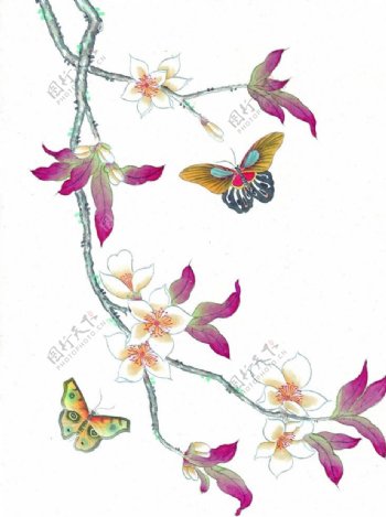 花枝花纹花卉蝴蝶图片