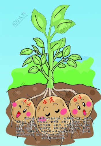 土豆示范园区卡通图片