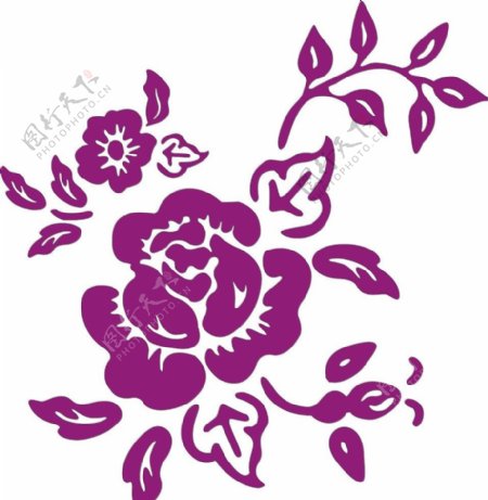 紫薇花矢量图图片