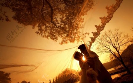 婚礼拍摄浪漫背景图片