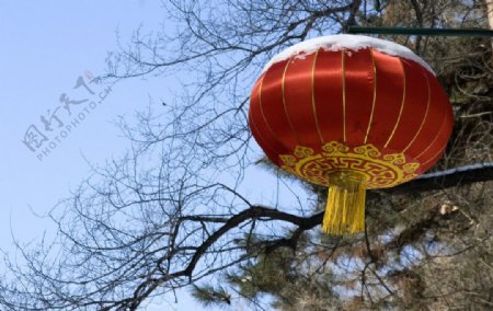 瑞雪红灯图片