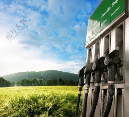 绿色加油站图片