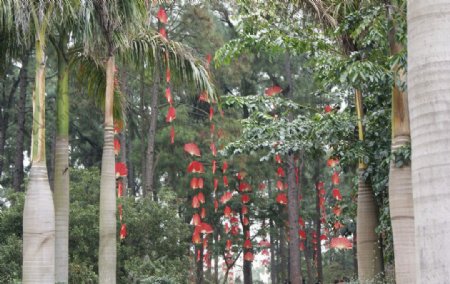 春节气氛红扇子图片