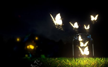荧光蝴蝶图片