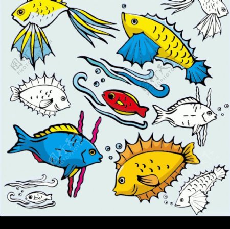 多种卡通鱼图片