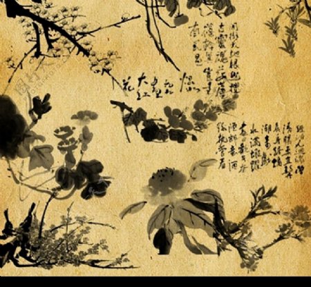 中国画写意植物笔刷