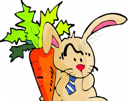 萝卜白兔图片