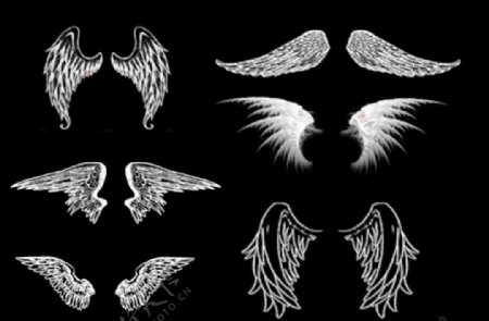 6种天使羽翼笔刷